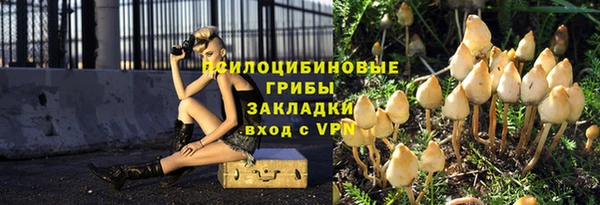 скорость Бородино
