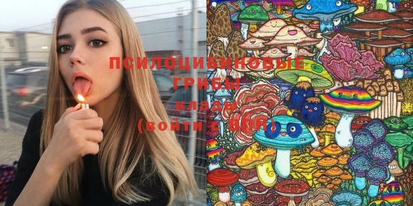 скорость Бородино