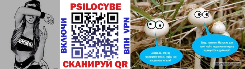купить закладку  Бузулук  это состав  Галлюциногенные грибы MAGIC MUSHROOMS 