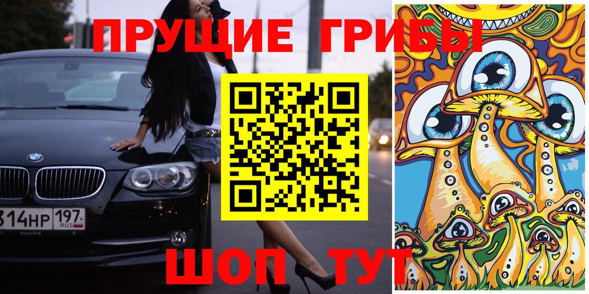 Галлюциногенные грибы Cubensis  Вход с VPN  Бузулук 