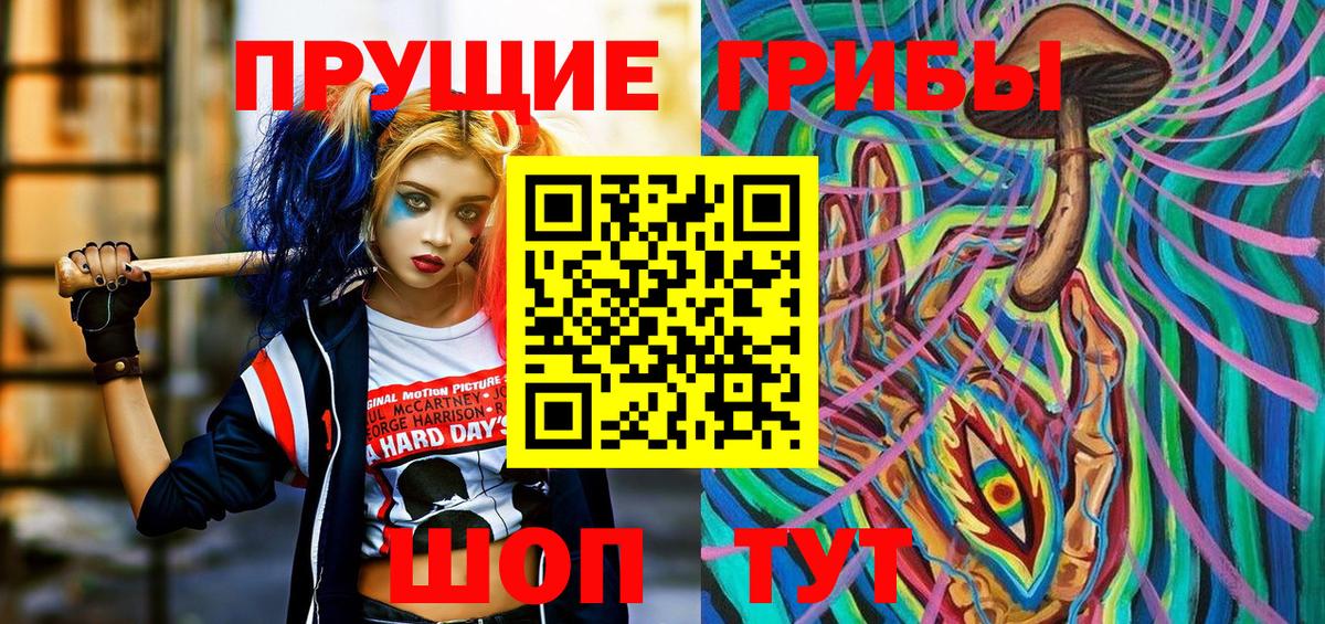 Псилоцибиновые грибы Psilocybine cubensis  где найти   Бузулук 